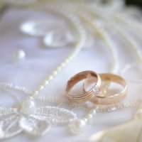 Свадебный кольца :: Евгения Куликова