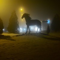 Ходят кони.. :: БОРИС ЯКИНЦЕВ 
