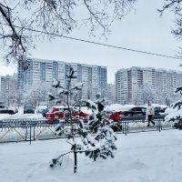 Вот моя деревня, вот мой дом родной... :: Светлана Лысенко