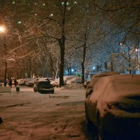 Лёгкие шаги зимы – белые тревоги :: Ирина Данилова