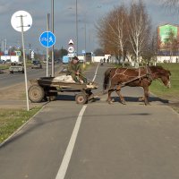 гужевая повозка :: Андрей Иркутский