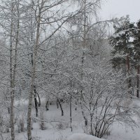 Снежное одеяние :: Олег Афанасьевич Сергеев