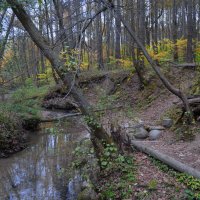 Царство Берендея :: Михаил Михальчук