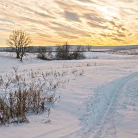 Скупое зимнее солнце :: Любовь Потеряхина