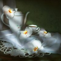 Этюд с белыми орхидеями :: lady-viola2014 -