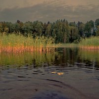 Вечер на озере :: Валерий Талашов