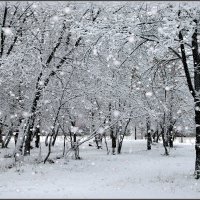 А снег идёт,  а снег идёт :: Анатолий Ливцов