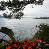 Набережная. Панорама Женевского озера и Французских Альп :: Елена Павлова (Смолова)