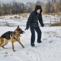 Прогулка на берегу реки :: Владимир Дементьев