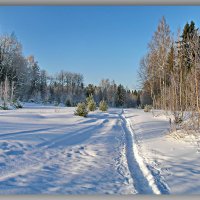 Зимние пейзажи. :: Любовь Чунарёва