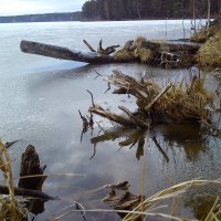 В гостях у водяного 2 :: оксана савина