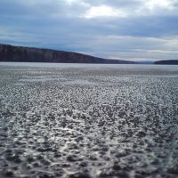 Зимнее озеро :: оксана савина