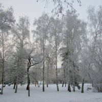 Зима :: раиса Орловская
