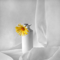 Желтый цветок в белой вазе :: Галина Galyazlatotsvet