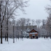Первый день зимы в парке... :: Тамара (st.tamara)