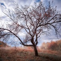 Nature :: Pavel Skvortsov