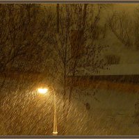Снегопад-1 :: Елена Palenavi