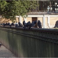 Свидание на мосту *** Rendezvous on the bridge :: Александр Борисов