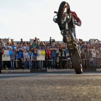 FMX Kolesnikov 2014 :: Алексей Зайцев