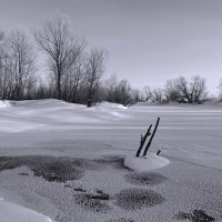 Замерзающая речка :: Виктор Четошников