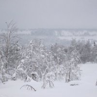 Северный Урал :: Елена Кислых