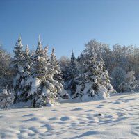 Зимний пейзаж :: laana laadas