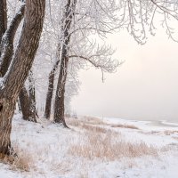 Енисей. Зябко. :: Евгений Герасименко