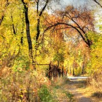 Осенний парк :: Eugene A. Chigrinski
