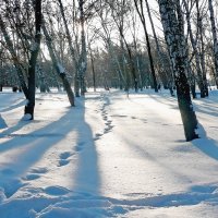 Белым-бело :: Александр Садовский