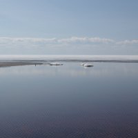 Белое озеро. Май :: dbayrak Дмитрий Байрак