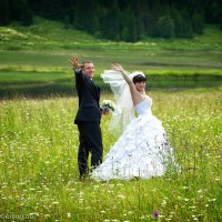 Красивая свадьба Полазны :: Виталий Гребенников