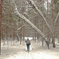 О чём мечтаешь жарким летом :: Александр Садовский