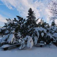 Укромное местечко... :: Юрий Поляков