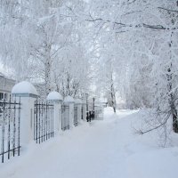 Дмитрий Часовитин - Зимняя сказка