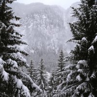 снег в горах :: OLGA 