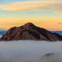 Утренний туман :: Николай Николенко