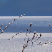 Зима :: Ната Волга