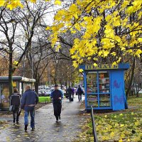 Золотая осень в Москве :: Владимир 