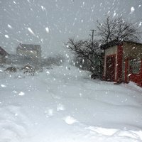 Снегопад :: Светлана Дымченко