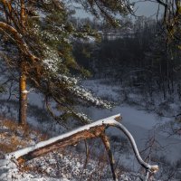 подмосковье .зима. :: юрий макаров