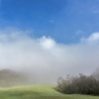 Утренний туман :: Мария Гура