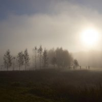 В тумане :: Александр Кафтанов