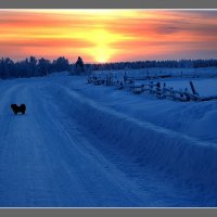 За околицей. :: Евгений Усатов