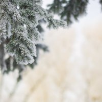 Зима в Иркутске :: Елизавета Альбрехт