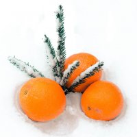 Витамины на снегу :: Анна Никонорова