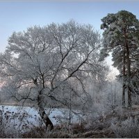 Зимняя пора :: Елена Ерошевич