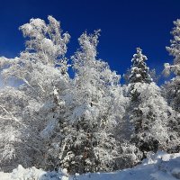 ***   *** :: Николай Елисеев