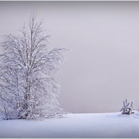 Толстый и тонкий :: Василий Хорошев