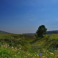 Жаркое лето. :: Владимир Михайлович Дадочкин