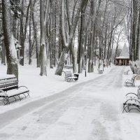 В зимнем парке :: Андрей Куприянов